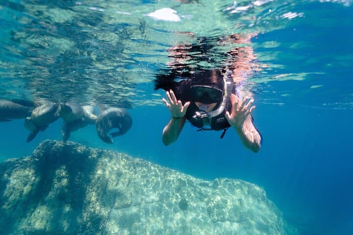 Cabo San Lucas Arch & Sea Photoshoot: Private Boat Snorkel and Underwater Portraits photo 4