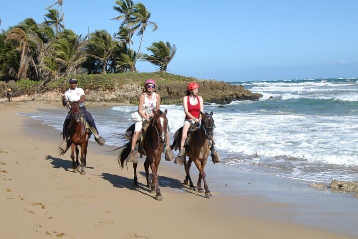 Horseback Riding on Macao Beach — Punta Cana Coastal Horse Tours photo 6