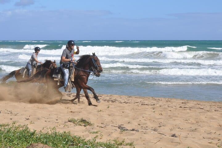 Half-Day Buggies and Horseback Adventure in Punta Cana — Macao Beach & Taino Cave photo 3