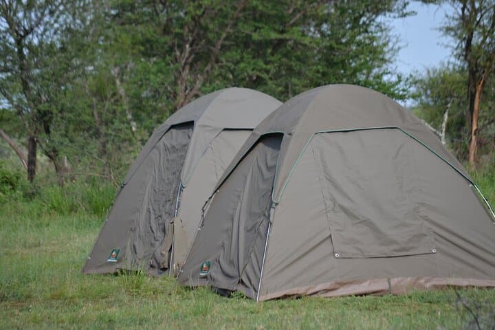 5-Day Private Budget Safari: Tarangire, Serengeti & Ngorongoro Big-5 Experience, Tanzania photo 3