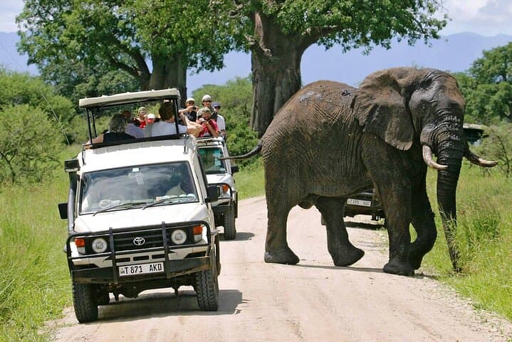 3-Day Private Safari: Tarangire & Ngorongoro with a Kilimanjaro Day Hike photo 2