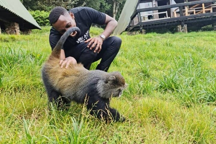 3-Day Private Safari: Tarangire & Ngorongoro with a Kilimanjaro Day Hike photo 5