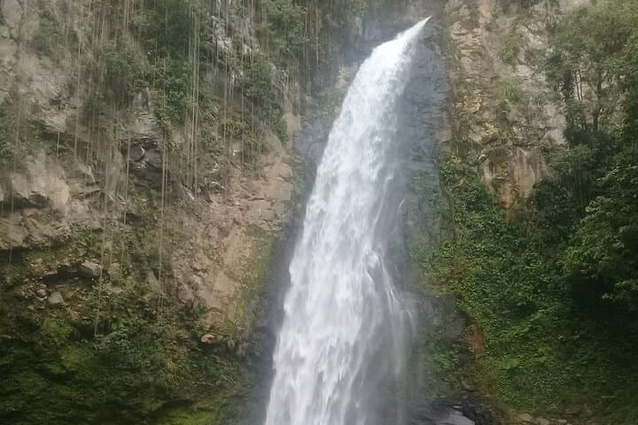 Victoria Fall Hike — Dominica’s Blue-River Waterfall and Mineral Pool photo 3