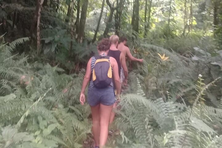 Victoria Fall Hike — Dominica’s Blue-River Waterfall and Mineral Pool photo 5