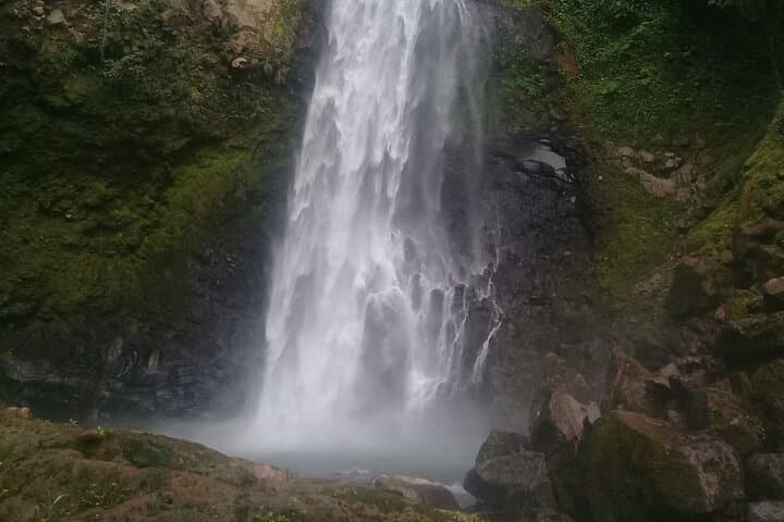 Victoria Fall Hike — Dominica’s Blue-River Waterfall and Mineral Pool photo 4