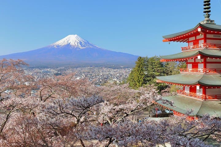 Full-Day Mount Fuji Tour in Spanish: Lakes, Caves & Ancestral Villages photo 1