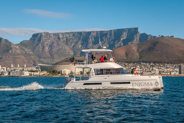 Cape Town Coastal Catamaran Cruise: Table Mountain & Wildlife Highlights photo 3