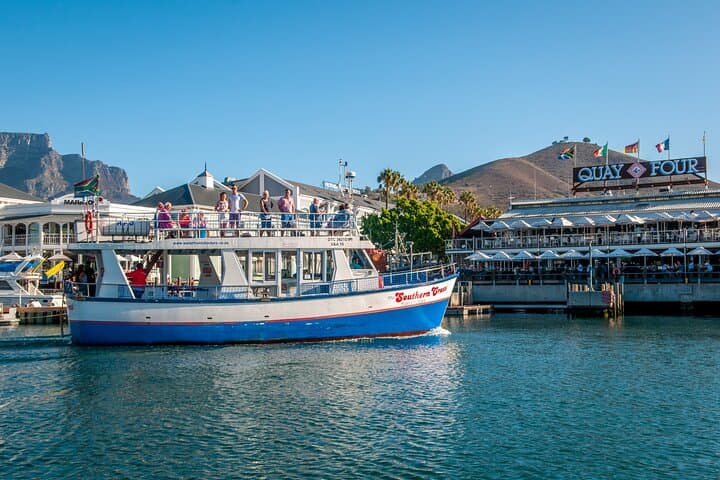 Cape Town Coastal Catamaran Cruise: Table Mountain & Wildlife Highlights photo 4