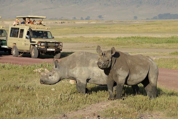 Ngorongoro Crater Safari & Mandara Hut Day Hike — 2-Day Midrange Lodge Adventure photo 5