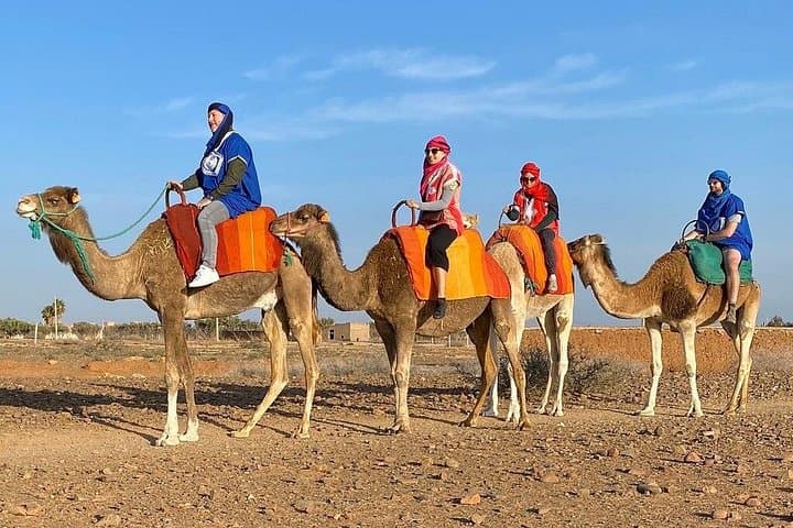 Atlas Mountains Full-Day from Marrakech: Camel Ride, Imlil Walk & Berber Villages photo 3
