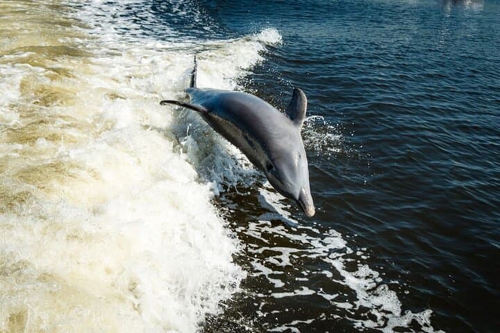 Naples Sightseeing Cruise on a 40‑Foot Vessel — Tin City to Gulf Views photo 5