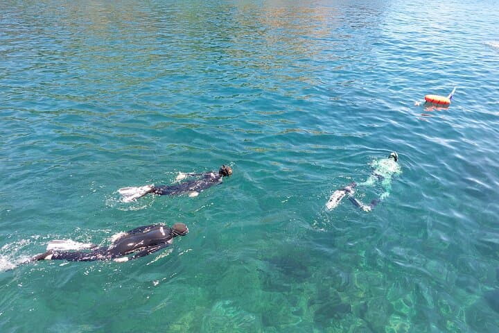 Ilhéu das Cabras Boat Trip & Snorkel — Terceira Island Marine Adventure photo 5