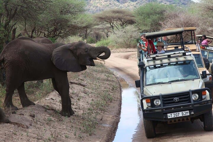 3-Day Private Serengeti Safari from Arusha — Big Five & Ngorongoro photo 3