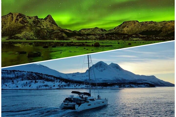 Tromso Northern Lights Luxury Catamaran Cruise: 4-Hour Aurora Safari
