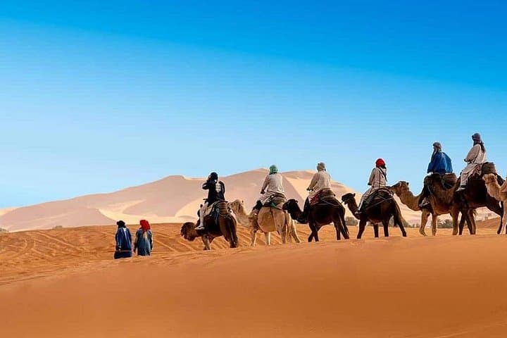 Luxury Morocco Tour: Imperial Cities to Sahara Dunes & Atlantic Coast (15-Day)