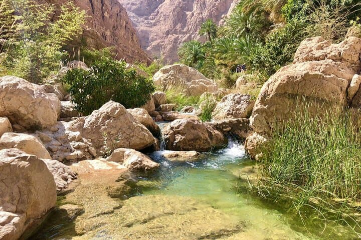 Wadi Shab and Bimmah Sinkhole: Full-Day Adventure from Muscat photo 4