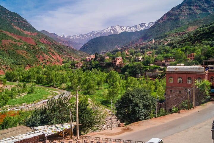 Ourika Valley & Anima Garden: Private Day Trip from Marrakech