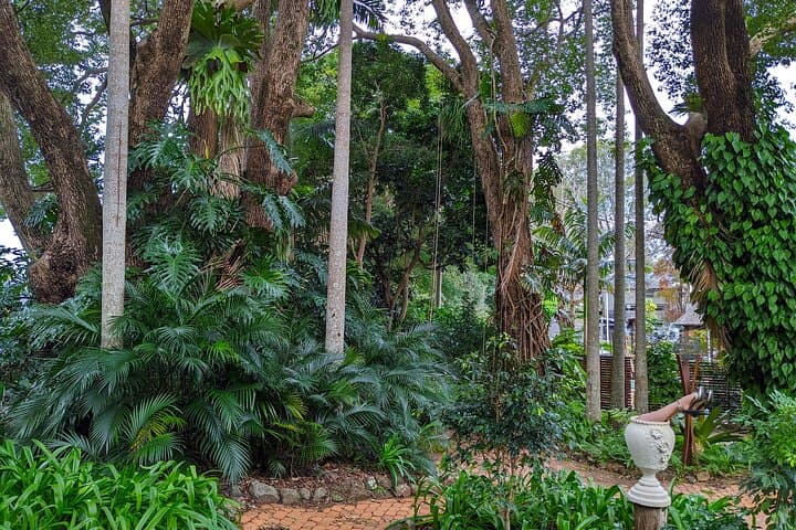 Glass House Mountains Day Tour from Brisbane — Maleny & Montville Rainforest Walks photo 2
