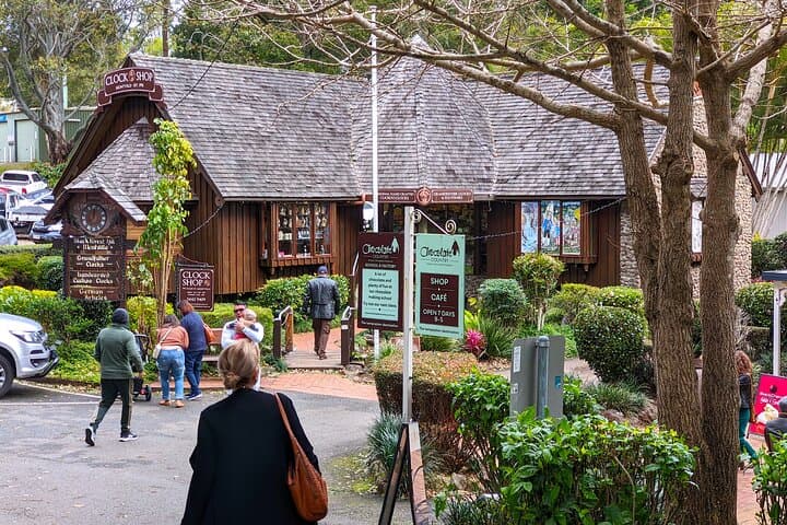 Glass House Mountains Day Tour from Brisbane — Maleny & Montville Rainforest Walks photo 3