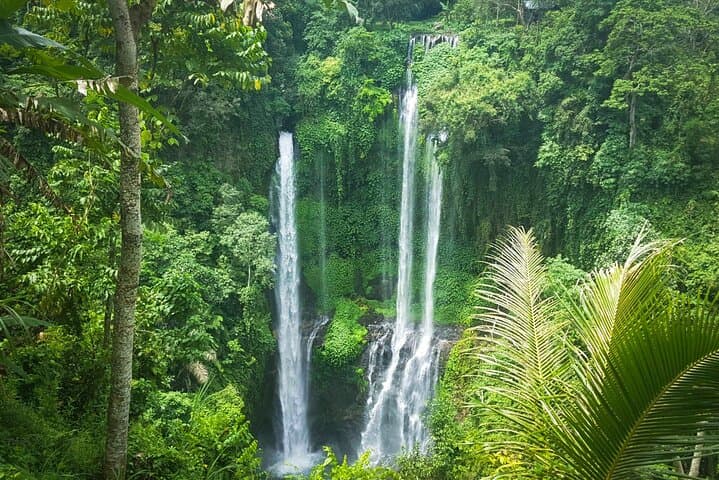 Full-Day Sekumpul Waterfall Hike: Private Trek Through Bali’s Multi-Cascade Valley photo 5
