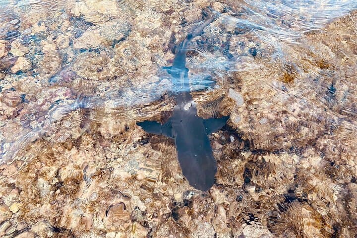 Sal Island Half-Day: Pedra de Lume Salt Lake, Shark Bay & Village Tour photo 4