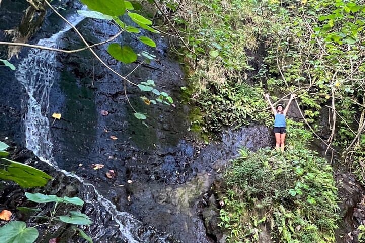 Discover Oahu’s Hidden Waterfall: A Four-Hour Nature Hike from Honolulu photo 4
