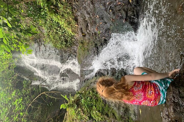 Discover Oahu’s Hidden Waterfall: A Four-Hour Nature Hike from Honolulu photo 6