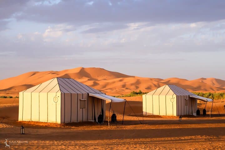 Overnight at Saharian Luxury Camp: Merzouga Camel Trek, Dunes & Starry Dinner photo 3