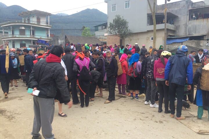 Ha Giang & Sapa: 8-Day Mountain Trek and Homestay Adventure photo 3