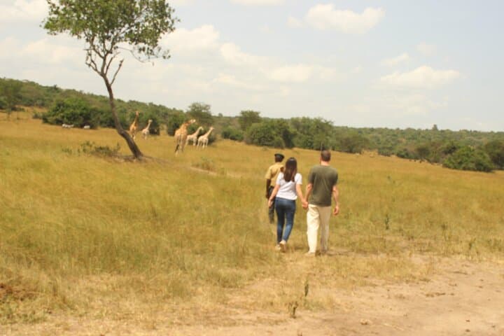 2-Day Lake Mburo National Park Wildlife Safari: Zebras, Boat Cruise & Hippos