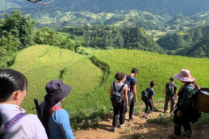 Sapa 2-Day Trek from Hanoi: Rice Terraces, Ethnic Villages & Local Guides photo 5