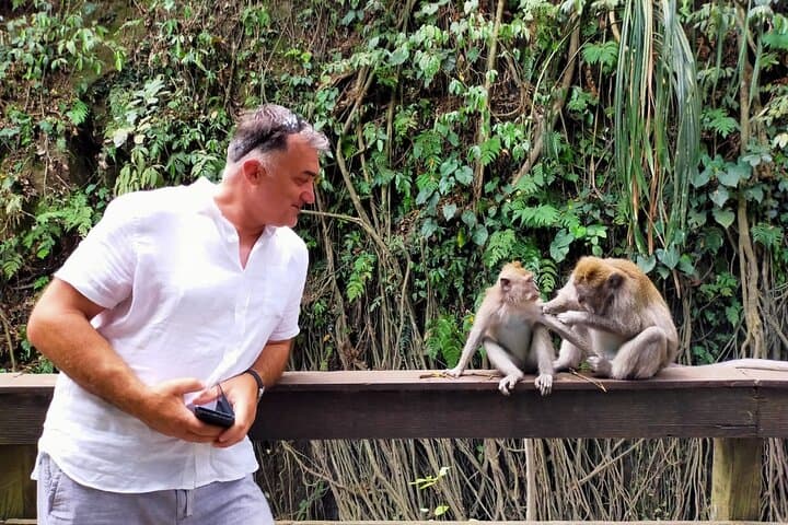 Ubud Memorable Trip: Full-Day Private Tour to Rice Terraces, Monkeys & Waterfall photo 2