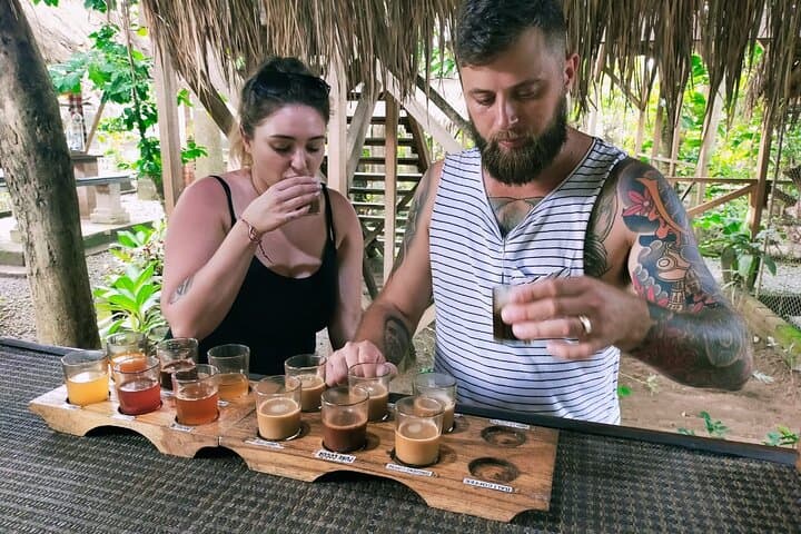 Ubud Memorable Trip: Full-Day Private Tour to Rice Terraces, Monkeys & Waterfall photo 6