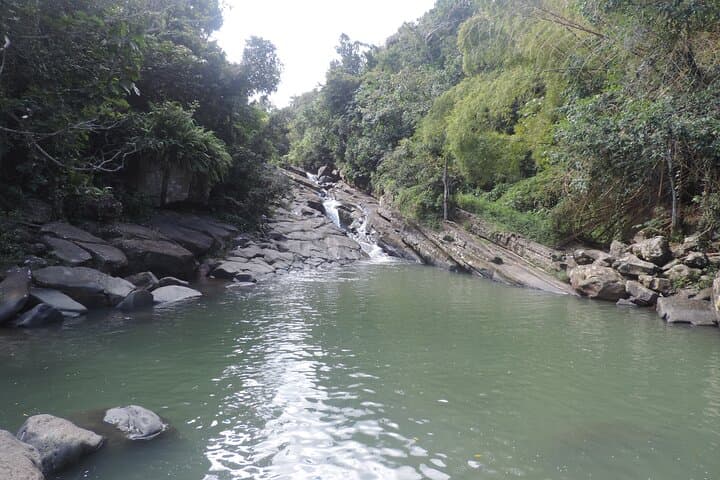 El Yunque Half-Day: Natural Waterslides at Las Paylas and Luquillo Beach Escape photo 6