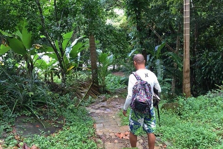 El Yunque Half-Day: Natural Waterslides at Las Paylas and Luquillo Beach Escape photo 2