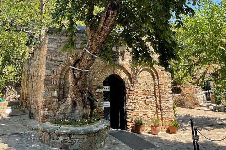 Private Ephesus & Terrace Houses Tour — Skip-the-Line Shore Excursion from Kusadasi photo 1