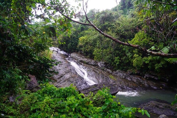 El Yunque Waterslides to Luquillo Kiosks: Private Rainforest & Beach Day Trip photo 2