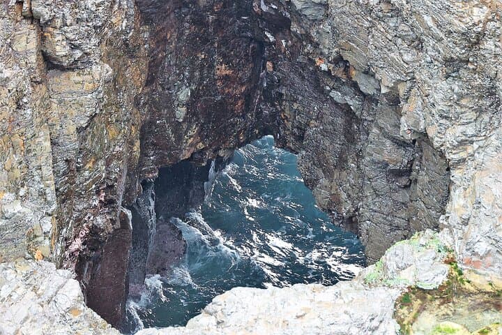Kiama Blowholes to Sea Cliff Bridge: Private Coastal Tour from Sydney