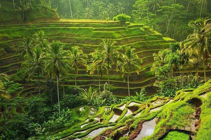 Ayung River Rafting and Tegalalang Rice Terrace Day Tour from Ubud photo 2