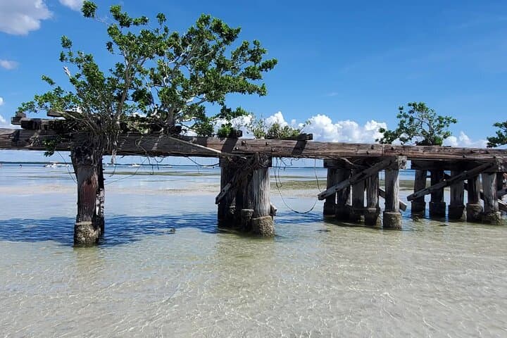 Full-Day Sand Bar Boat Tour from Englewood to Boca Grande