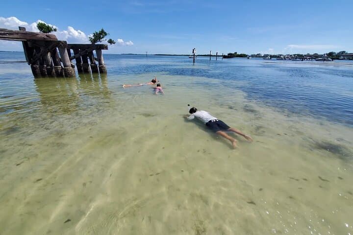 Full-Day Sand Bar Boat Tour from Englewood to Boca Grande photo 3
