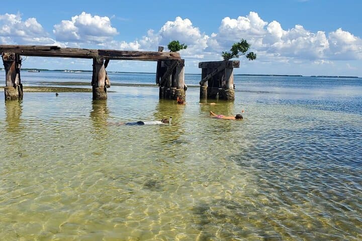 Full-Day Sand Bar Boat Tour from Englewood to Boca Grande photo 5