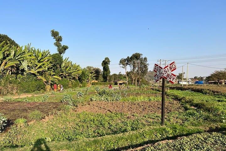 Walk Sinoni: Street Food & Community Walking Tour in Arusha photo 2