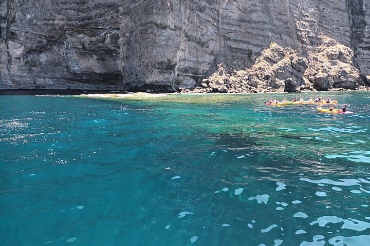 3-Hour Private Sail from Los Gigantes to Watch Whales and Snorkel photo 4