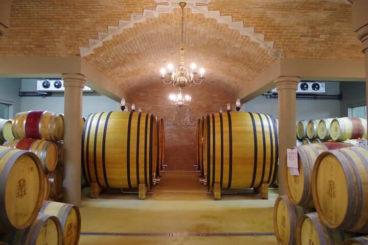 Stellenbosch Winemaker Reserve Tour: Private Vineyard Walks & Barrel Tastings