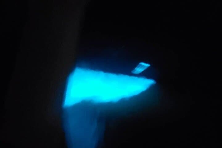 Luminous Lagoon Private Night Tour — Swim Among Bioluminescent Waters Near Montego Bay photo 3