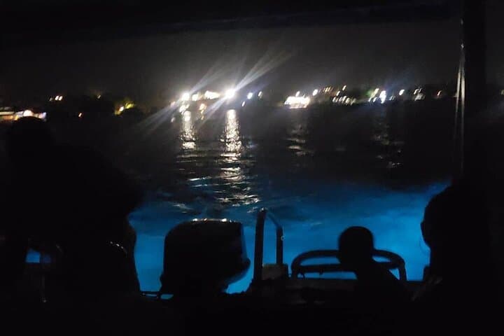 Luminous Lagoon Private Night Tour — Swim Among Bioluminescent Waters Near Montego Bay photo 4