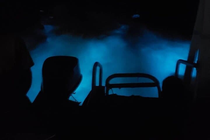 Luminous Lagoon Private Night Tour — Swim Among Bioluminescent Waters Near Montego Bay photo 5