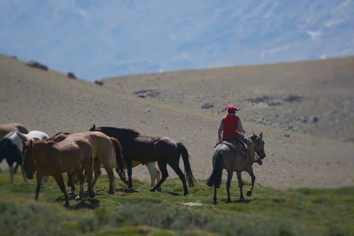 Cross the Andes on Horseback: 5-Day Gaucho Expedition to Pichi Trolón photo 2