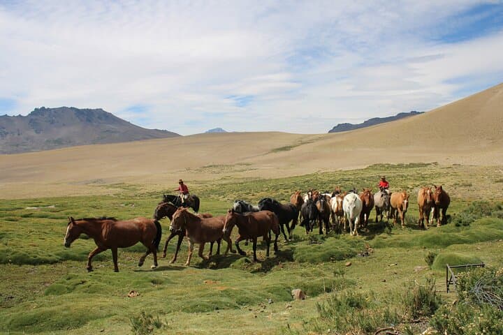 Cross the Andes on Horseback: 5-Day Gaucho Expedition to Pichi Trolón photo 3